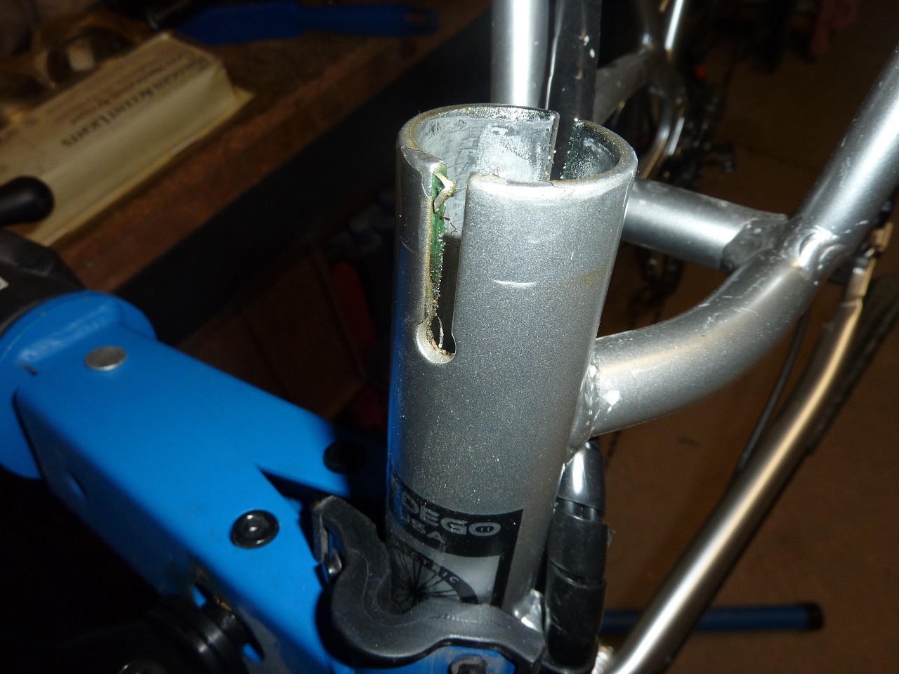 P1070169a.jpg