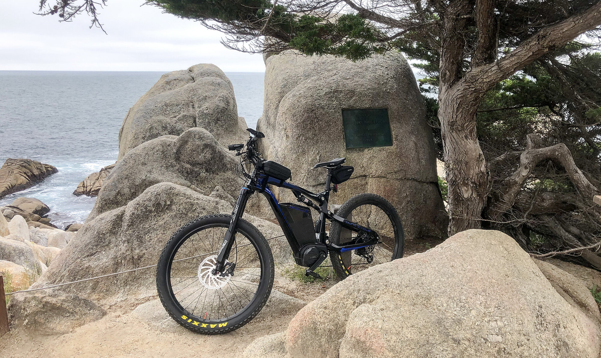 Luna apollo ebike store review