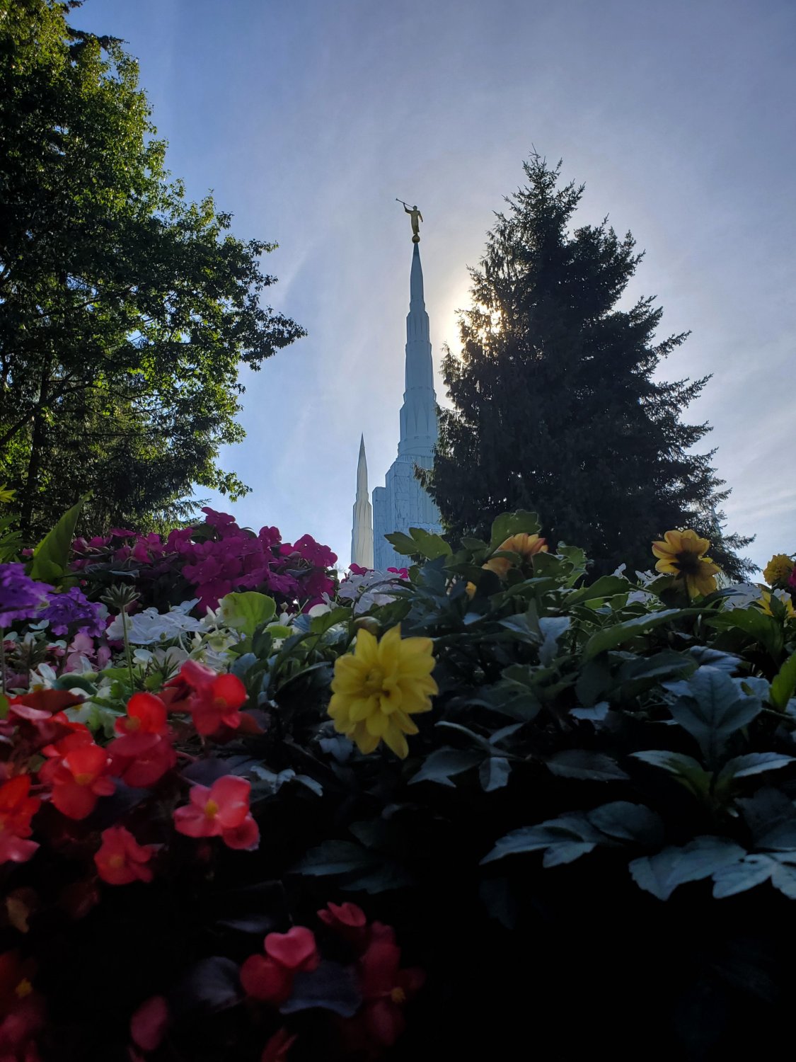 Portland temple.jpg