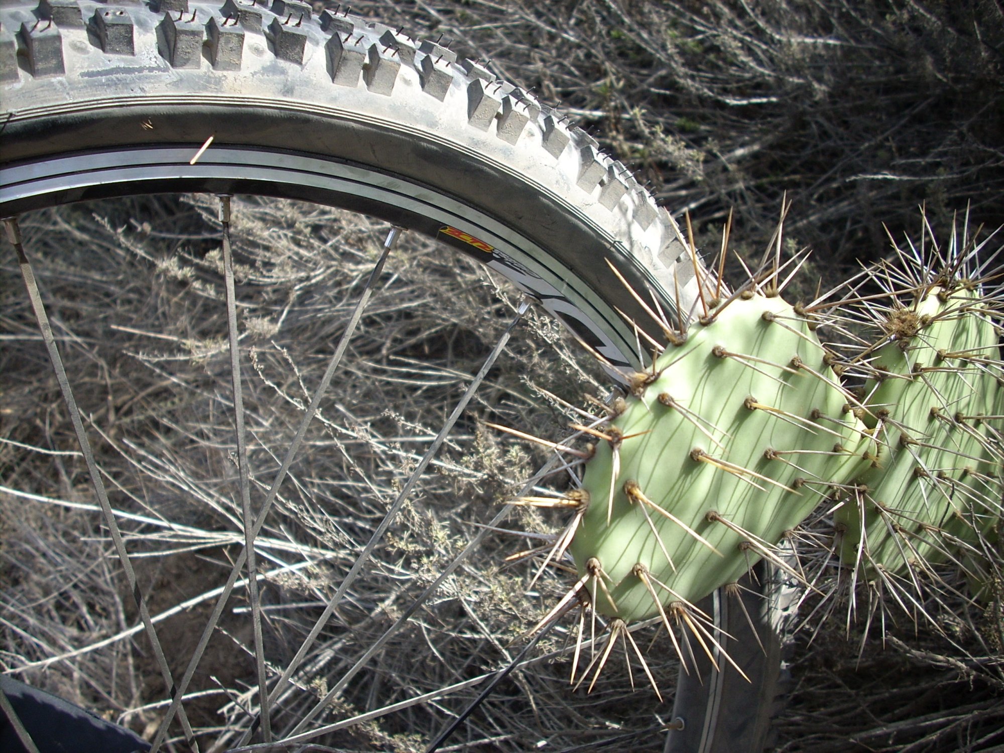 Puncture.jpg
