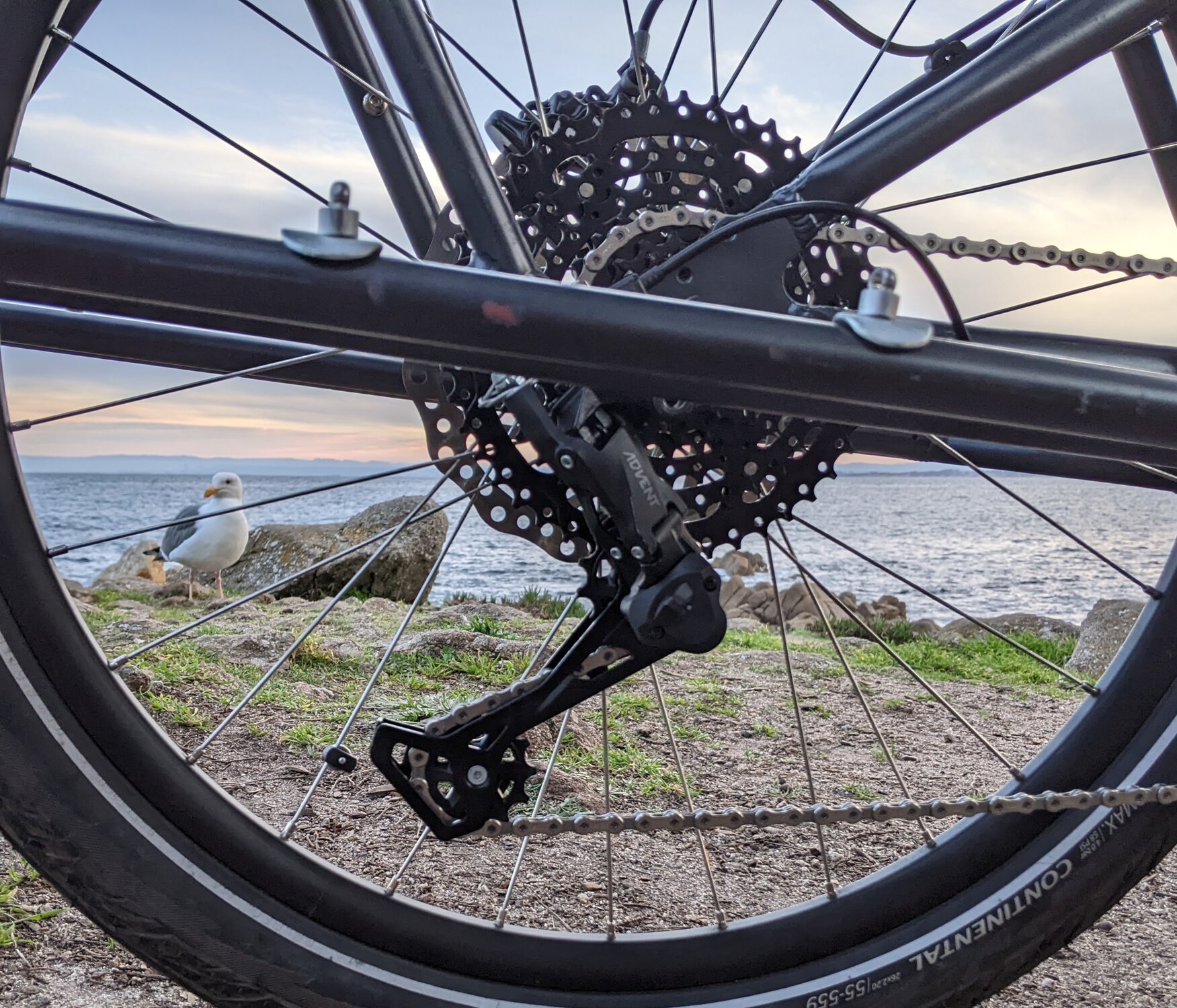 PXL_20220129_152806167 (1).jpg