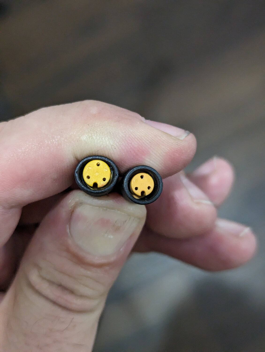 PXL_20230928_045705449.jpg PXL_20230928_045705449.jpg