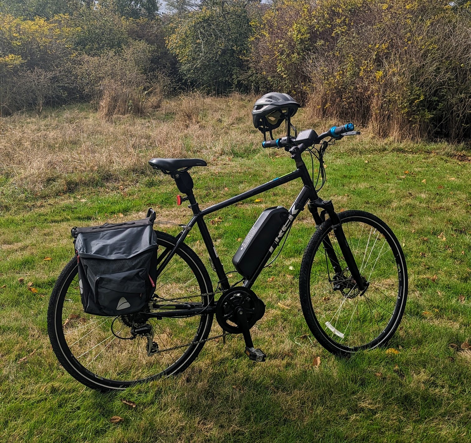 PXL_20231012_190339524 (2).jpg