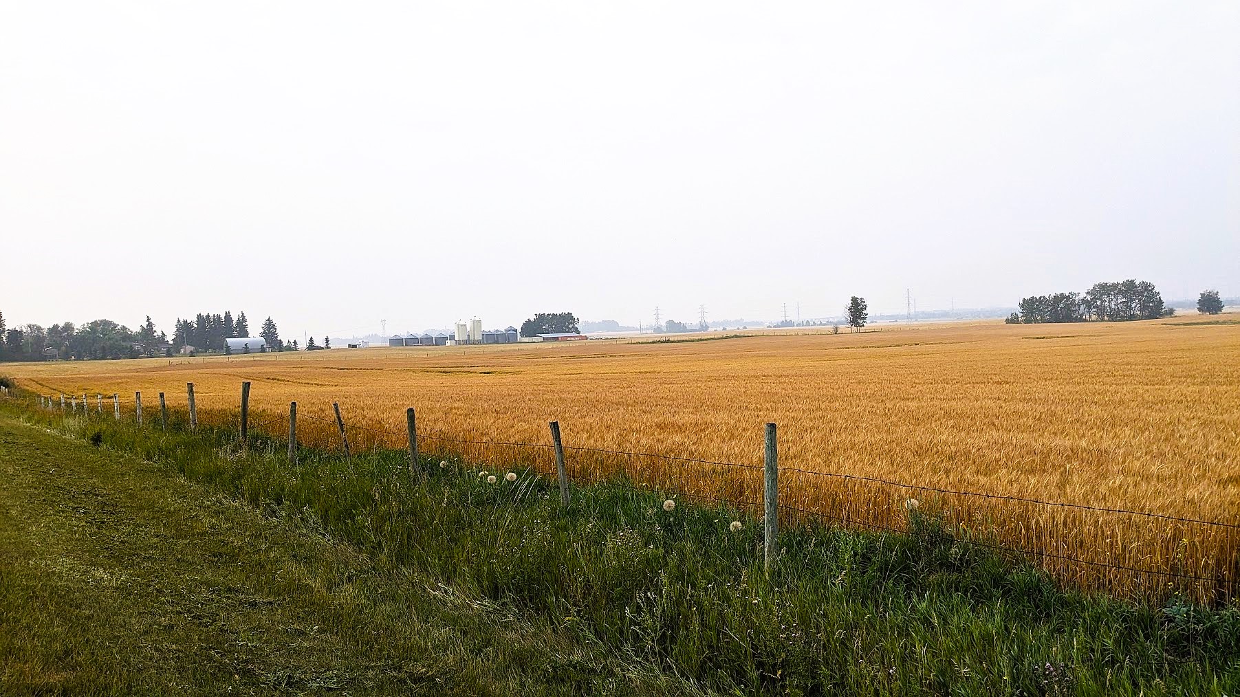 PXL_20240815_172738450.jpg