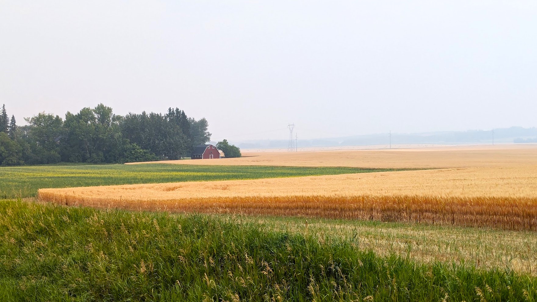 PXL_20240815_173232946.jpg