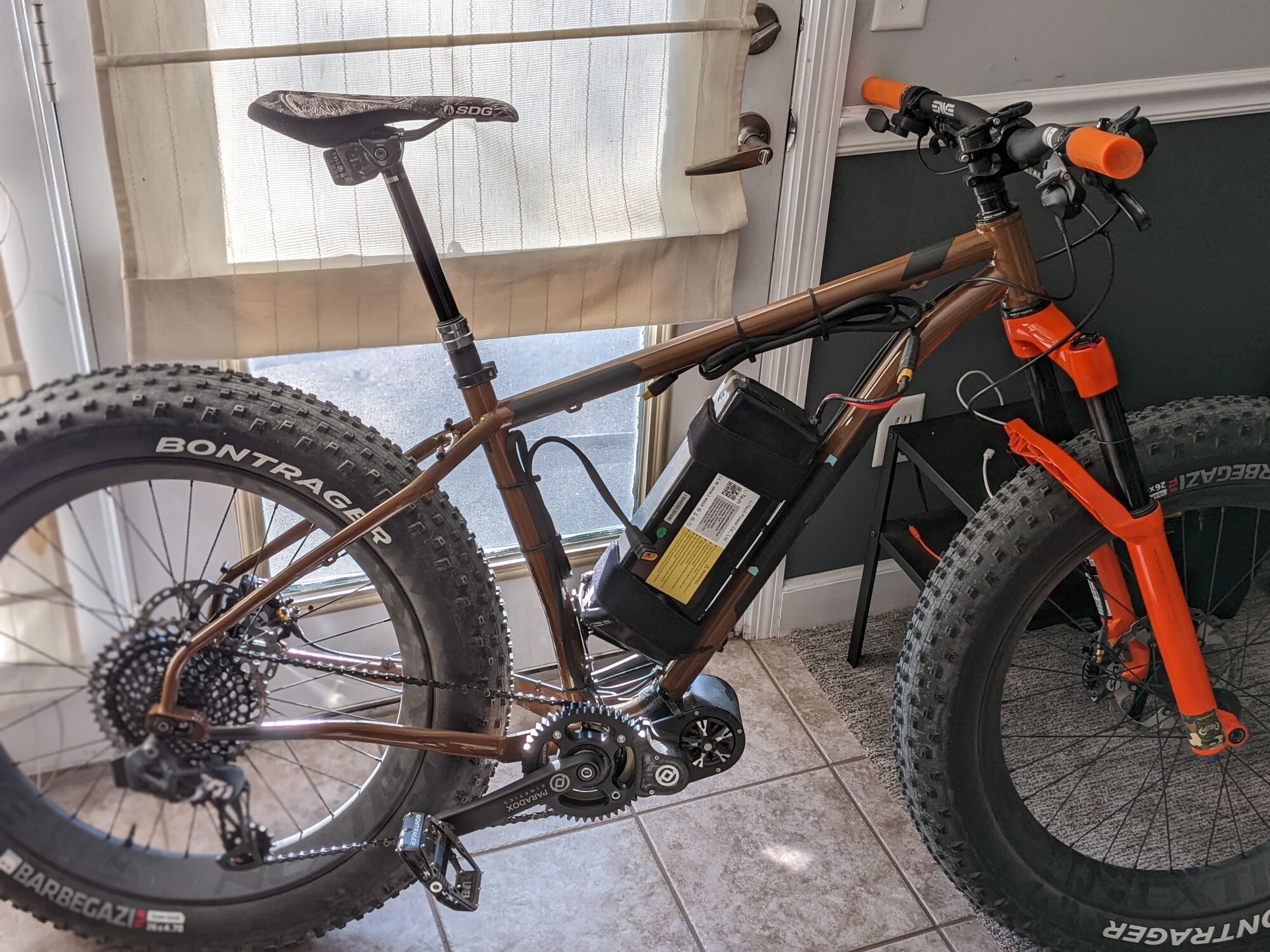 PXL_Arctodus without bag.jpg PXL_Arctodus without bag.jpg