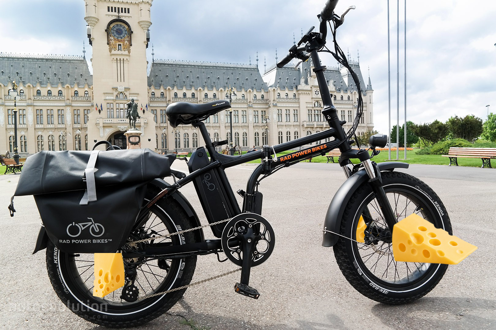 radmini-4 CHEESE.jpg