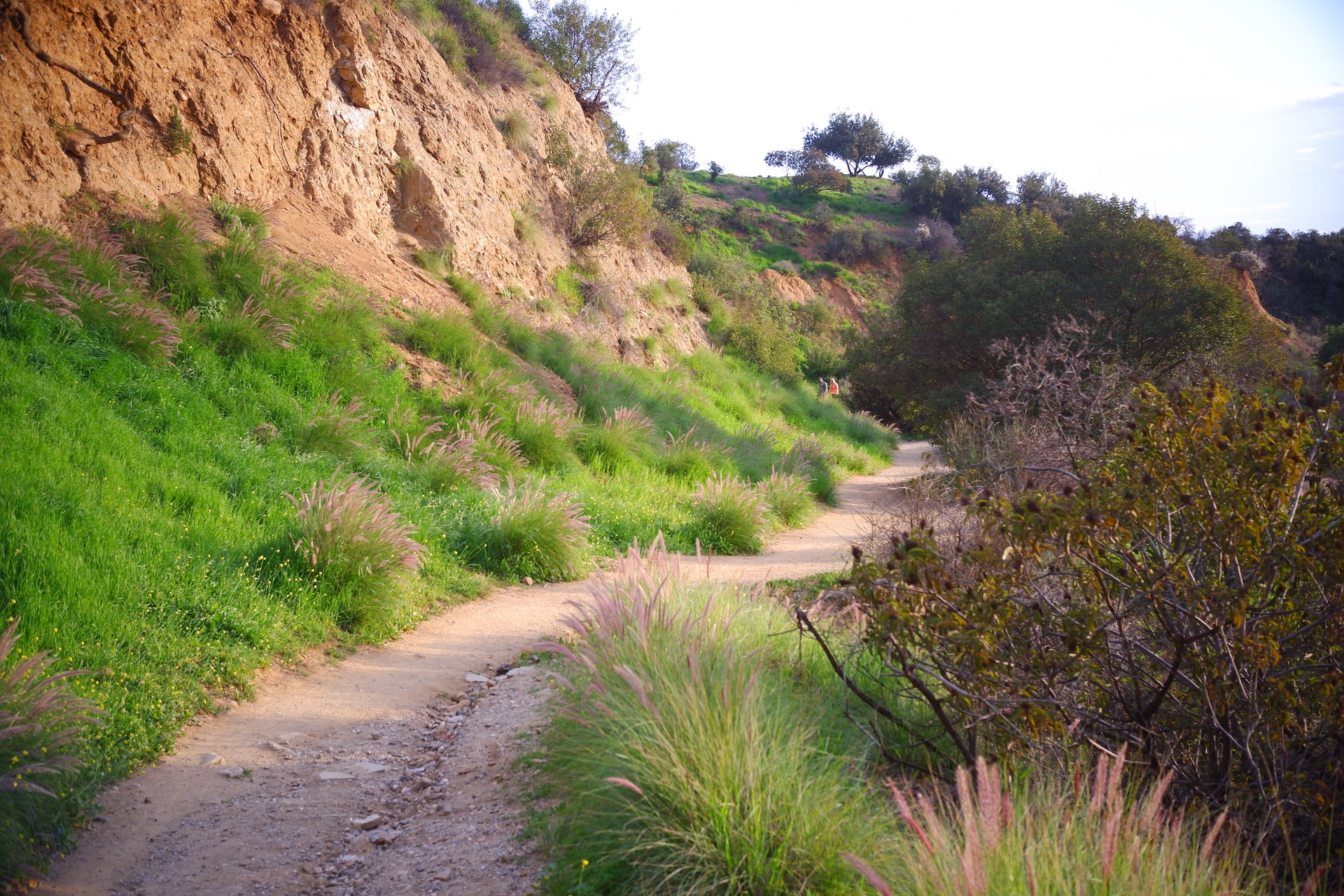 Reservoir Irish Trail copy.JPG