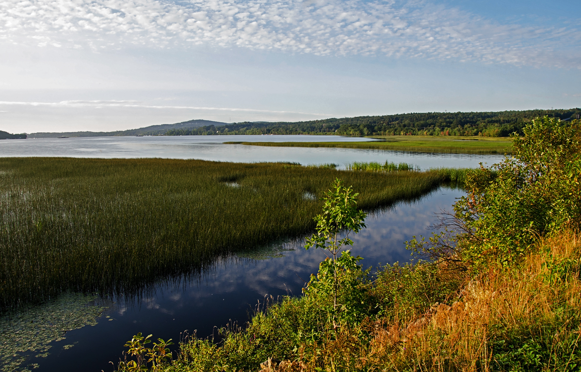 saint-john-river-view.jpg
