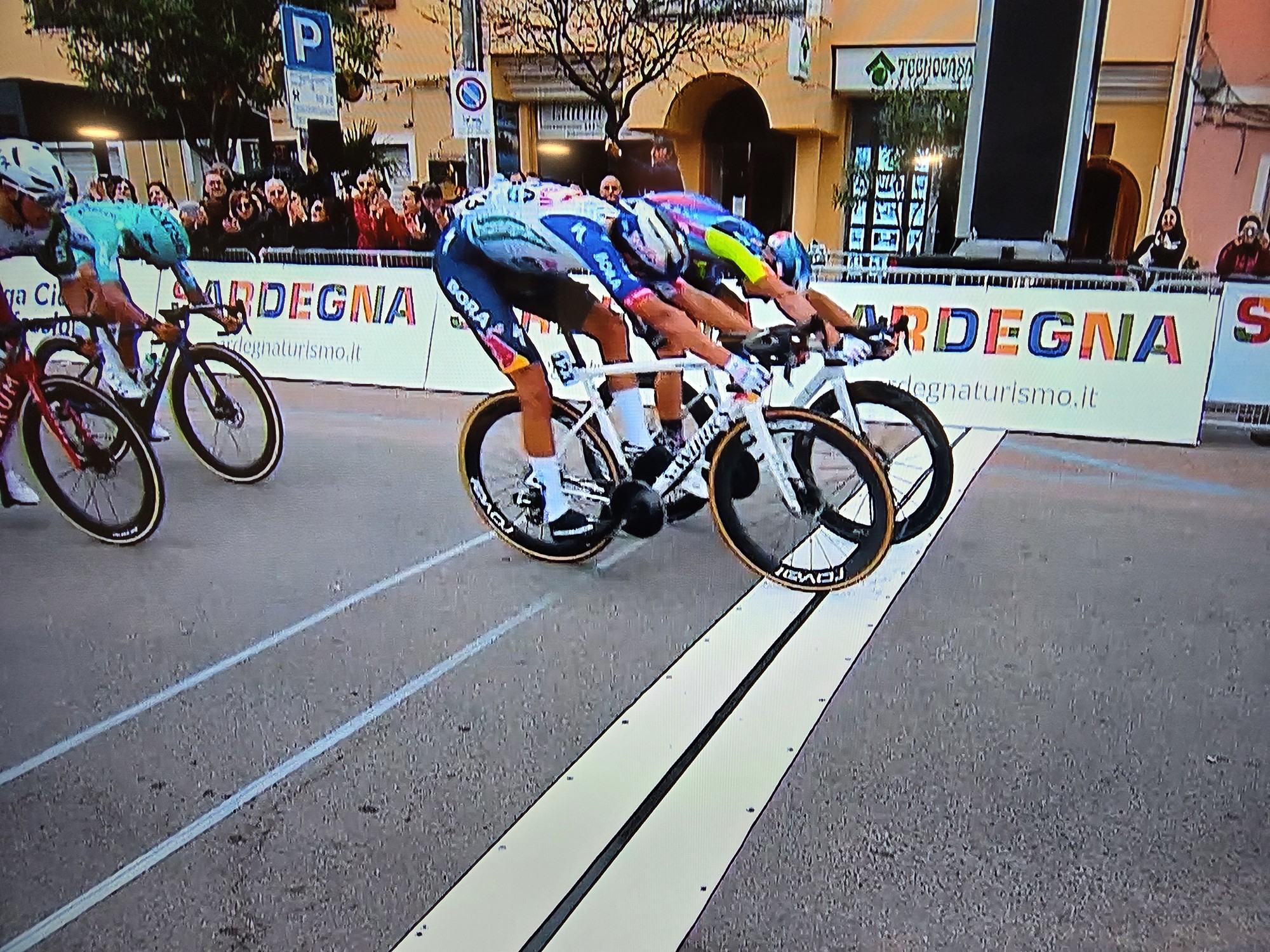 sardena (Custom).jpg