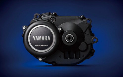 Screen Shot 2022-02-11 at 4.56.18 AM.png