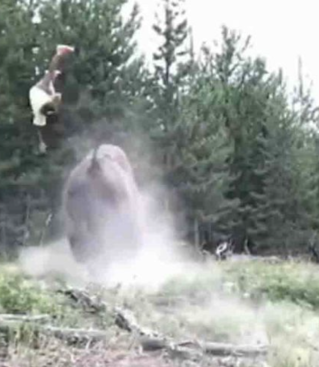 Screen Shot 2022-06-09 at 7.27.35 AM.png