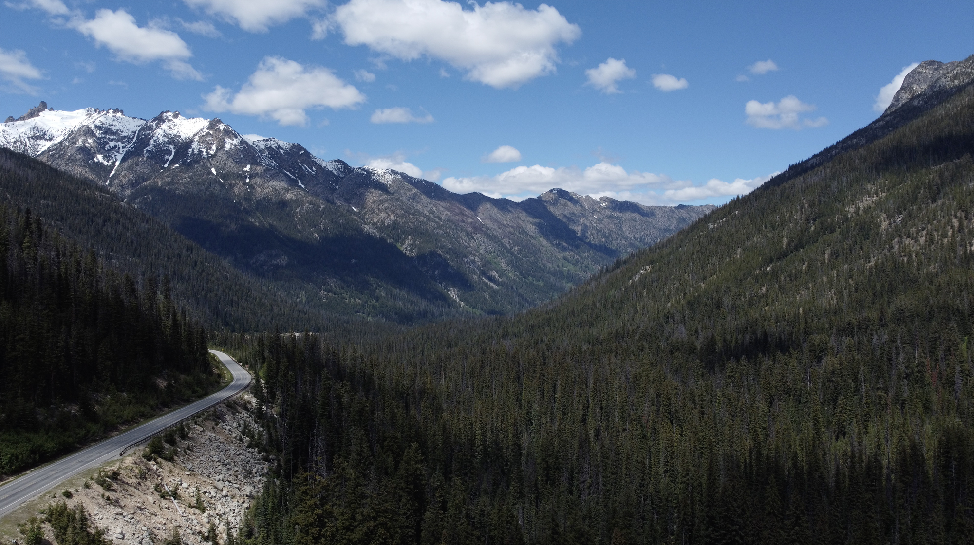 Screen Shot 2022-06-26 at 11.50.10 AM.jpg