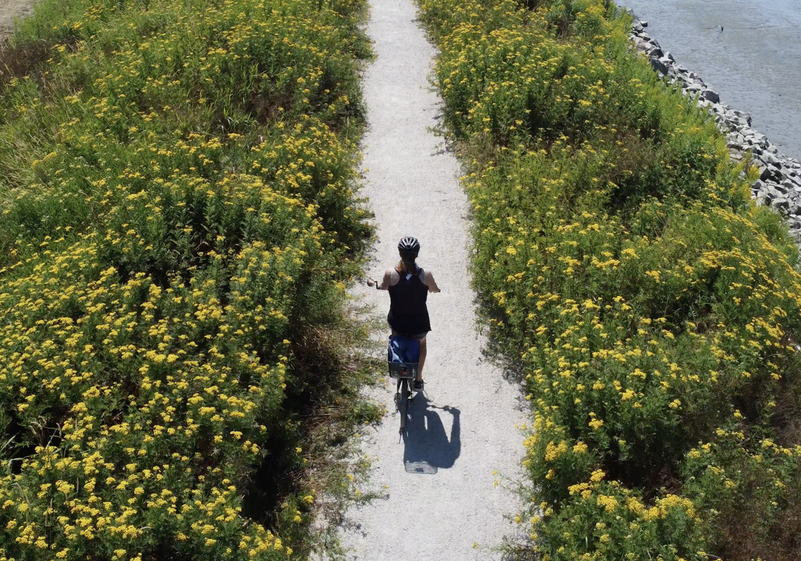 Screen Shot 2022-07-29 at 8.15.28 PM.jpg