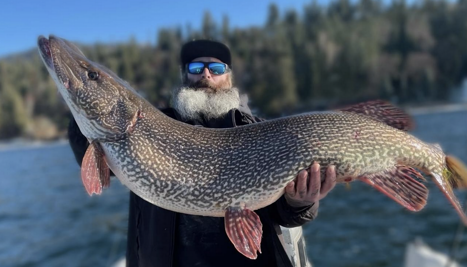 Screenshot 2023-07-01 at 1.53.33 PM.png