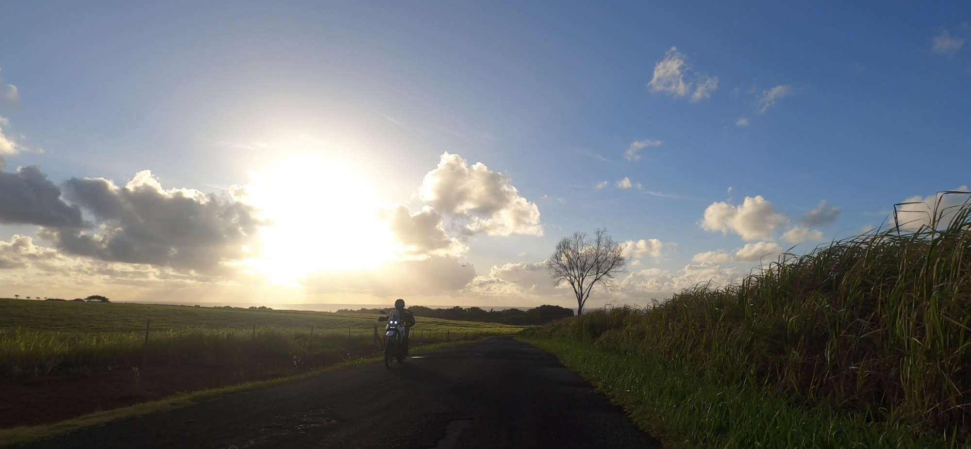 Screenshot 2023-09-23 at 3.21.25 PM.png