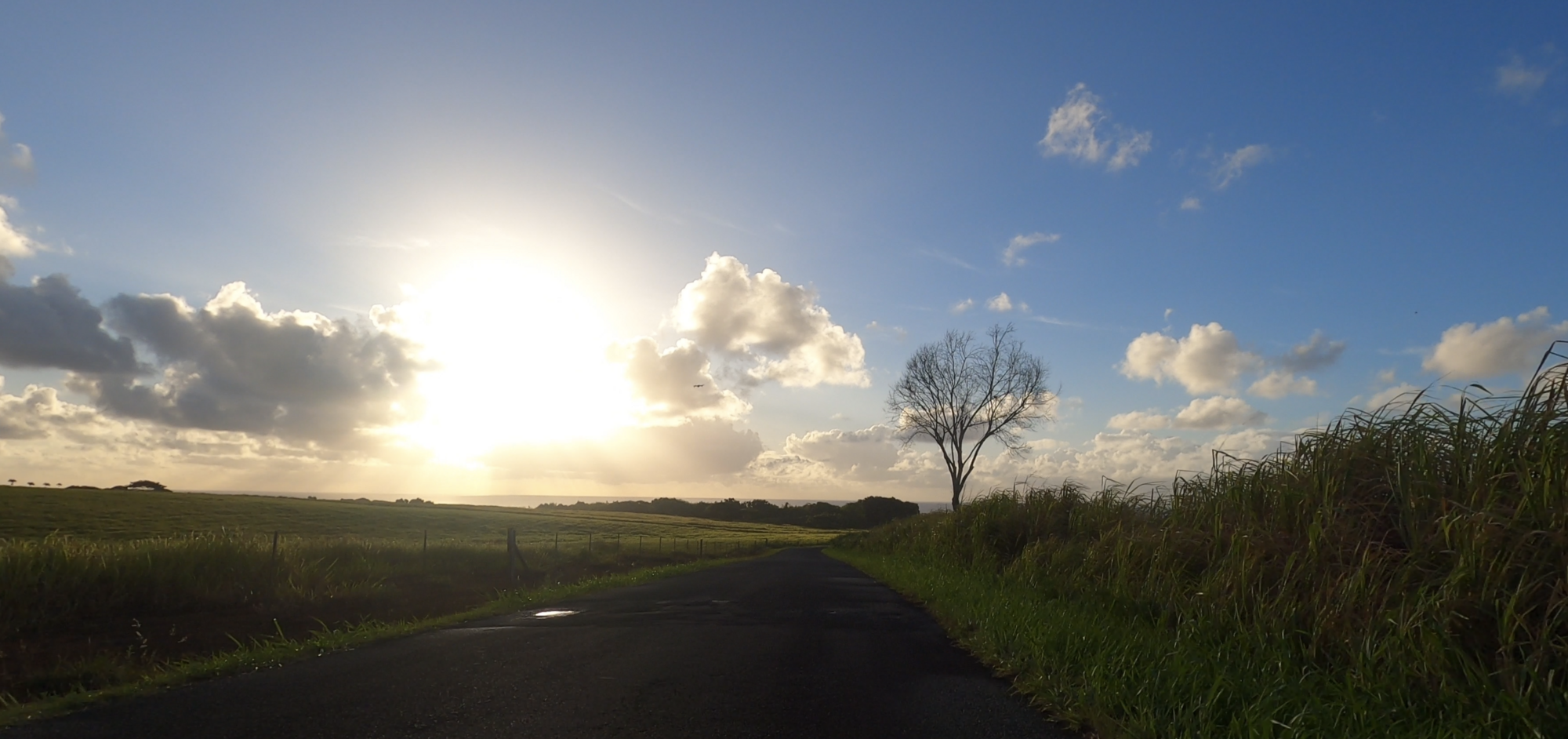 Screenshot 2023-09-23 at 3.21.39 PM.png