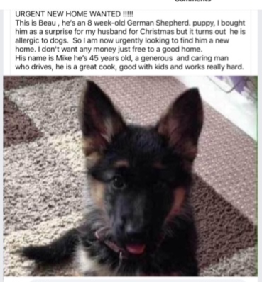 Screenshot 2023-12-30 at 9.19.54 AM.png