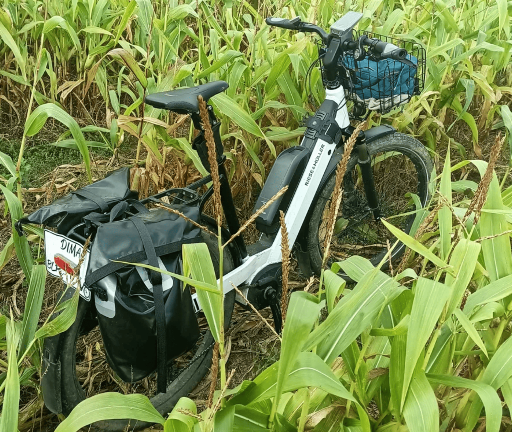 Screenshot 2025-11-27 at 18.08.56 (1).png