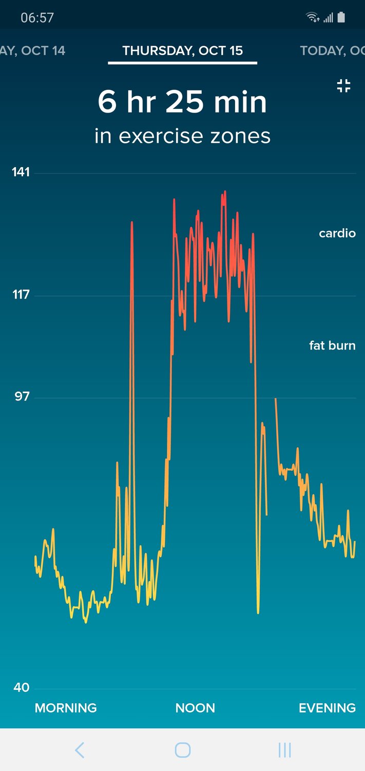 Screenshot_20201016-065714_Fitbit.jpg