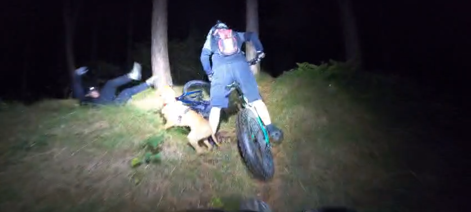 Screenshot_20241018-105450.png Screenshot_20241018-105450.png