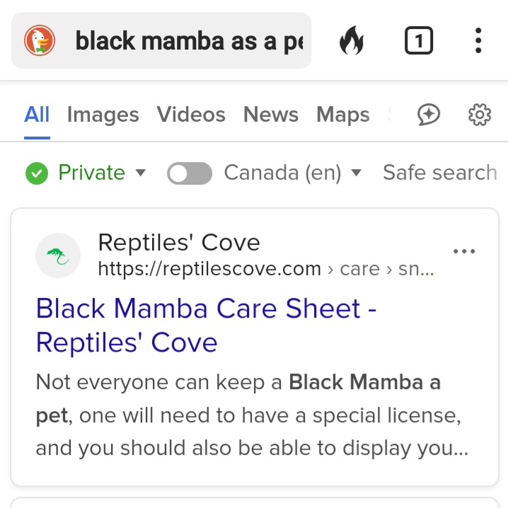 Screenshot_20250204-103941_DuckDuckGo.jpg