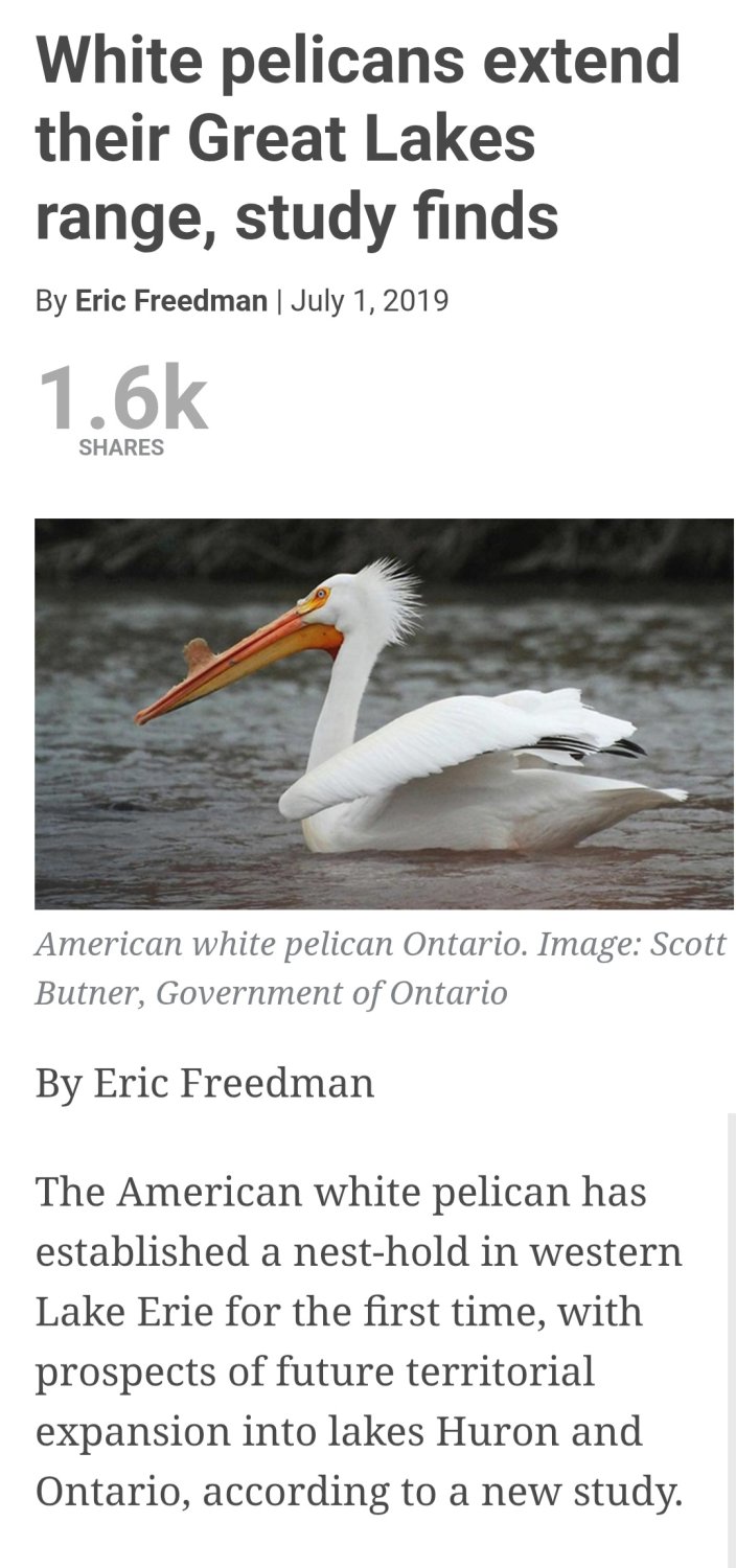 Screenshot_20250518_045101_DuckDuckGo.jpg