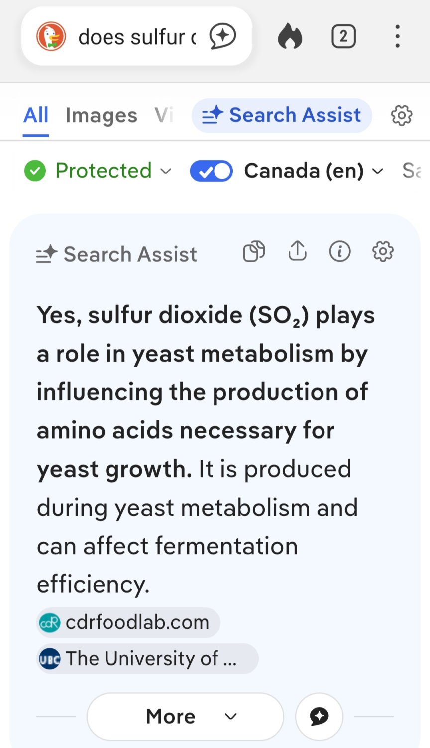 Screenshot_20260507_024415_DuckDuckGo.jpg