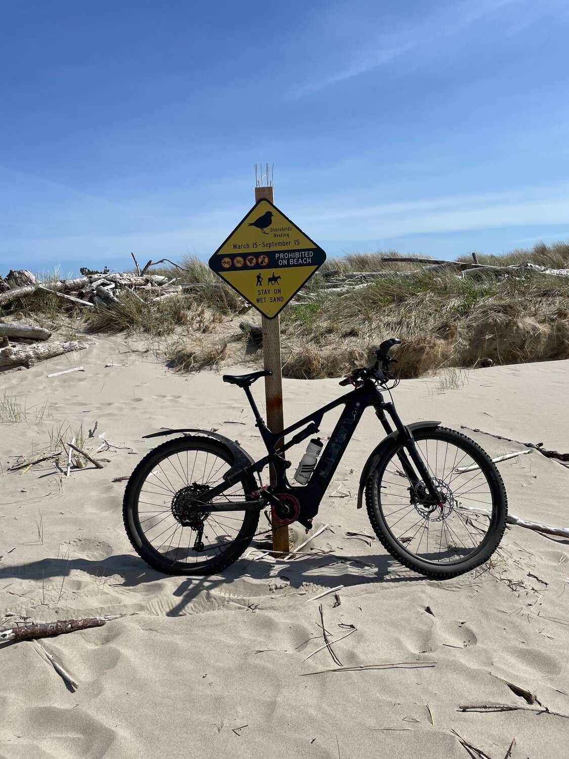 Shore birds only.jpg