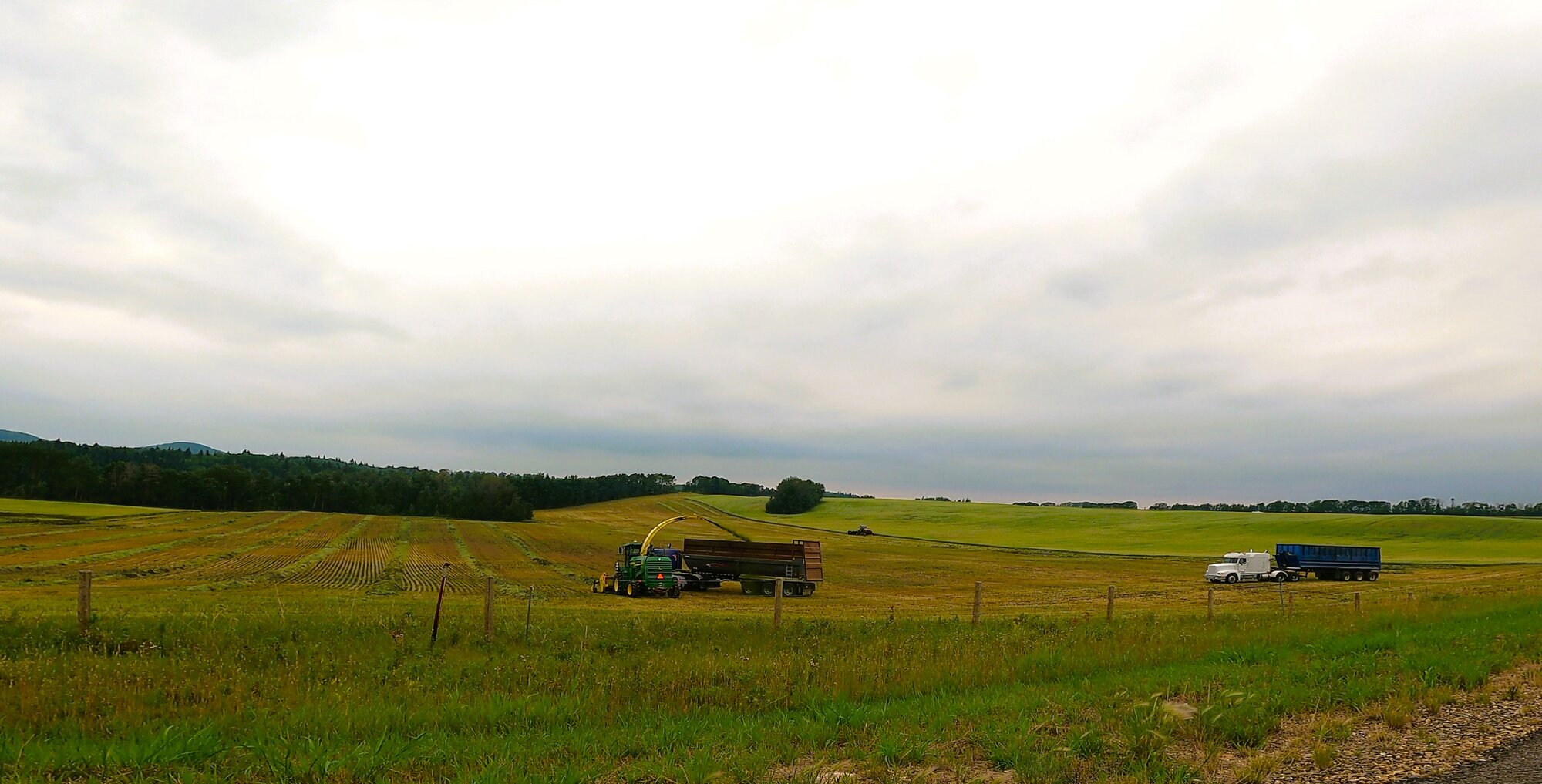 Silage (West Centerview Road TSR 412).jpg