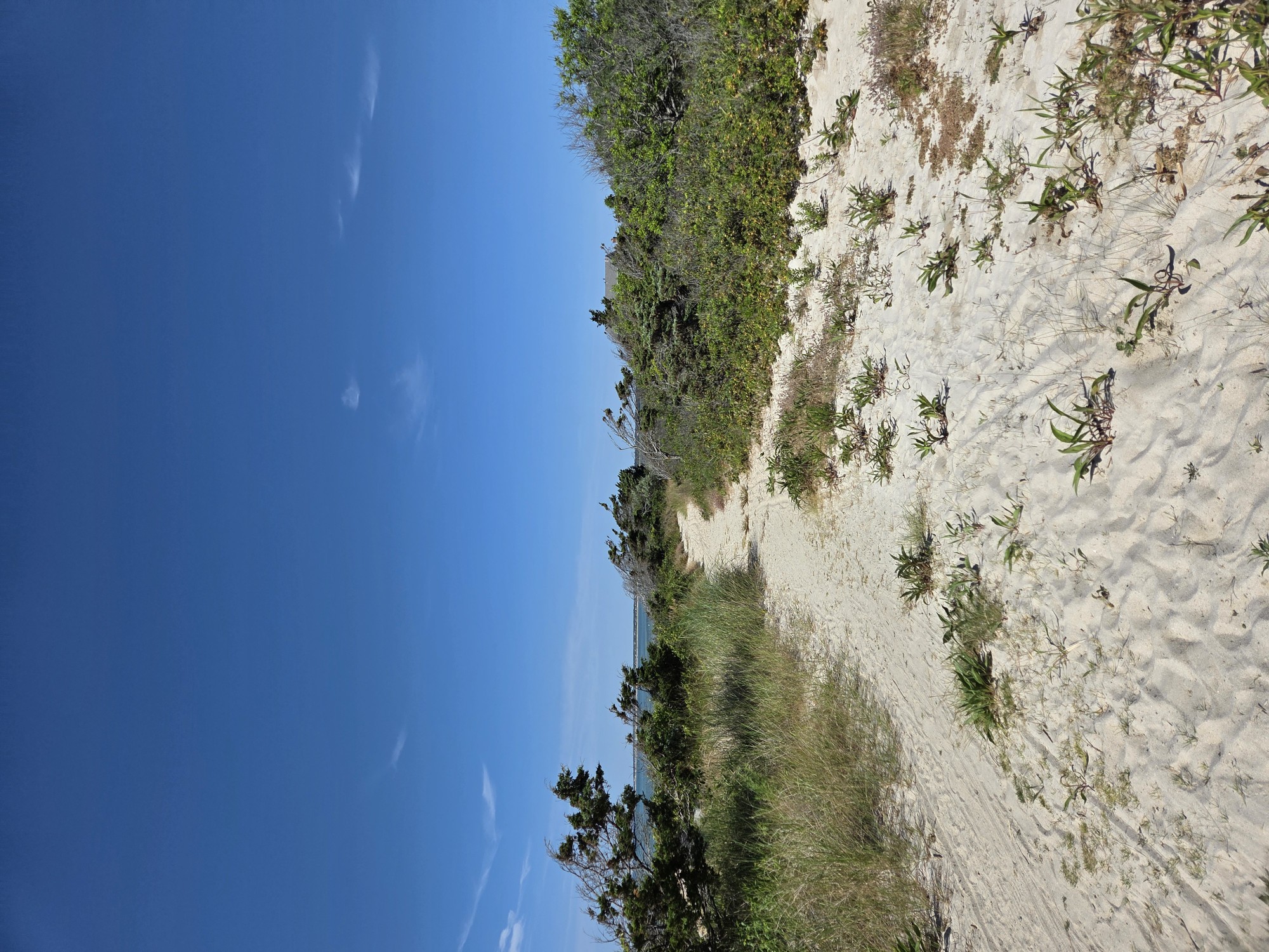 skaket trail 3 (Custom).jpg