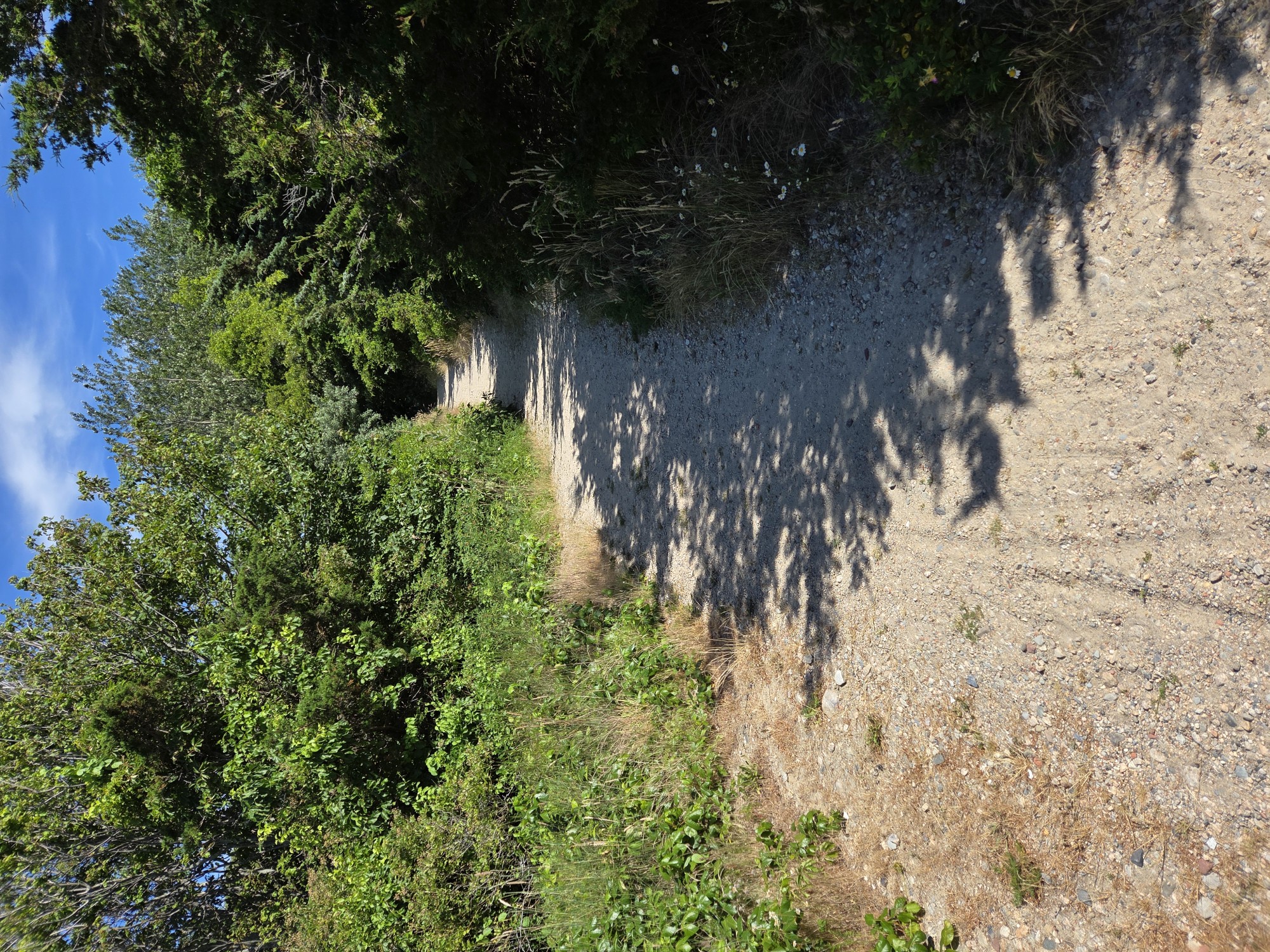 skaket trail2 (Custom).jpg