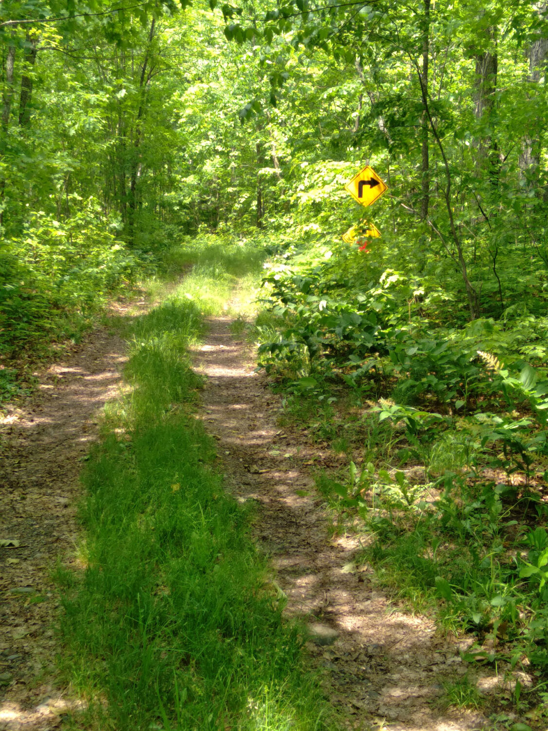 snowmobile trail UP-sm.jpg