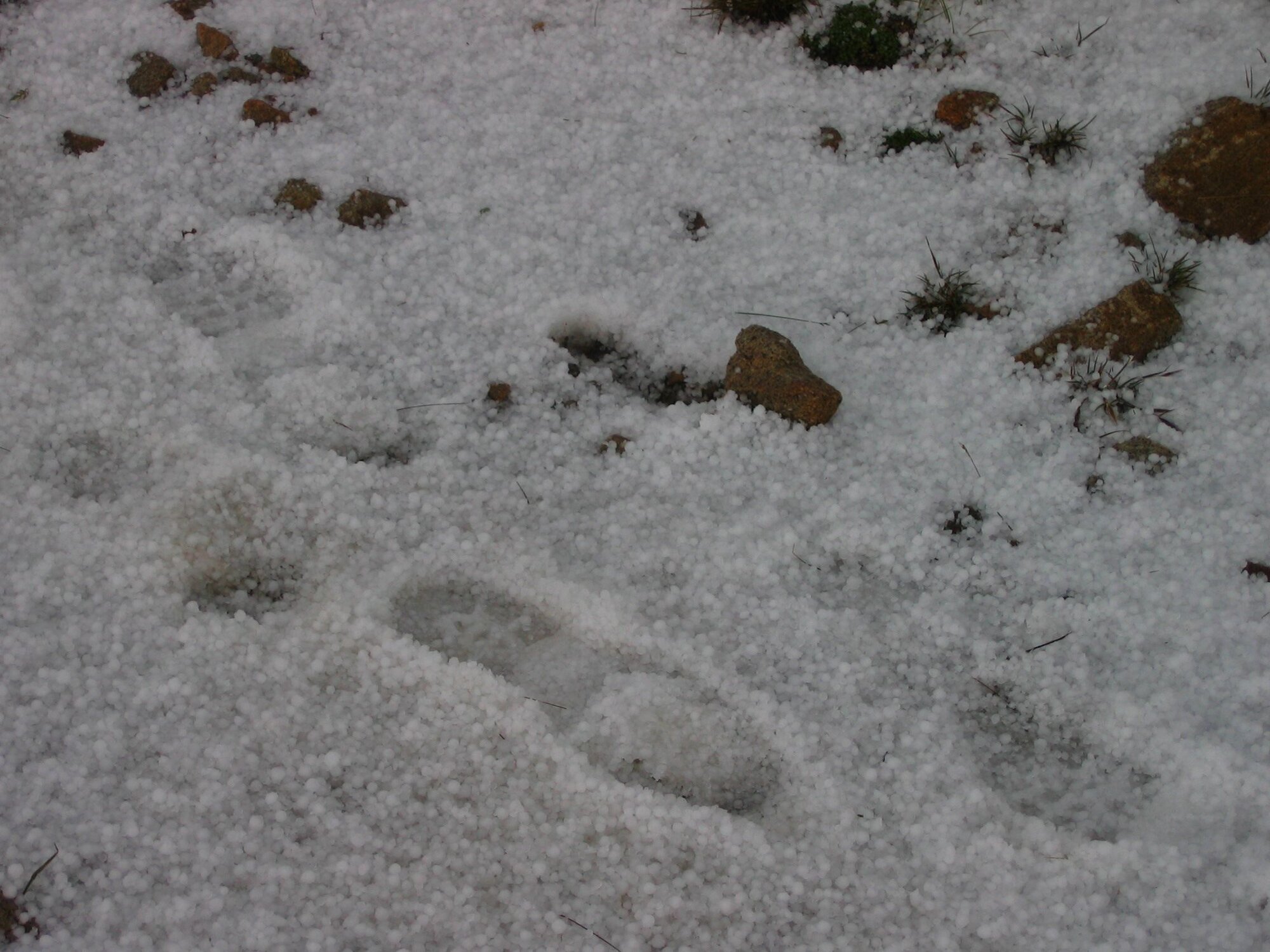 Steps in hail.jpg