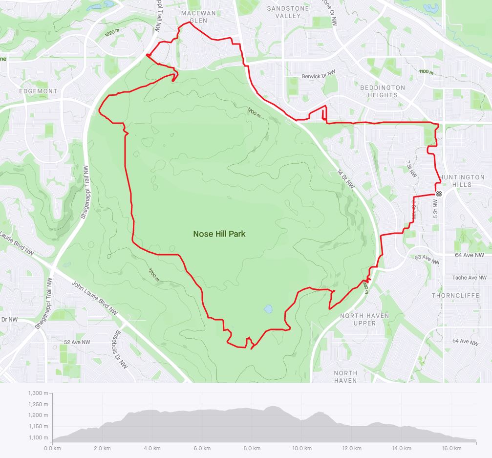 Strava March18_1.JPG