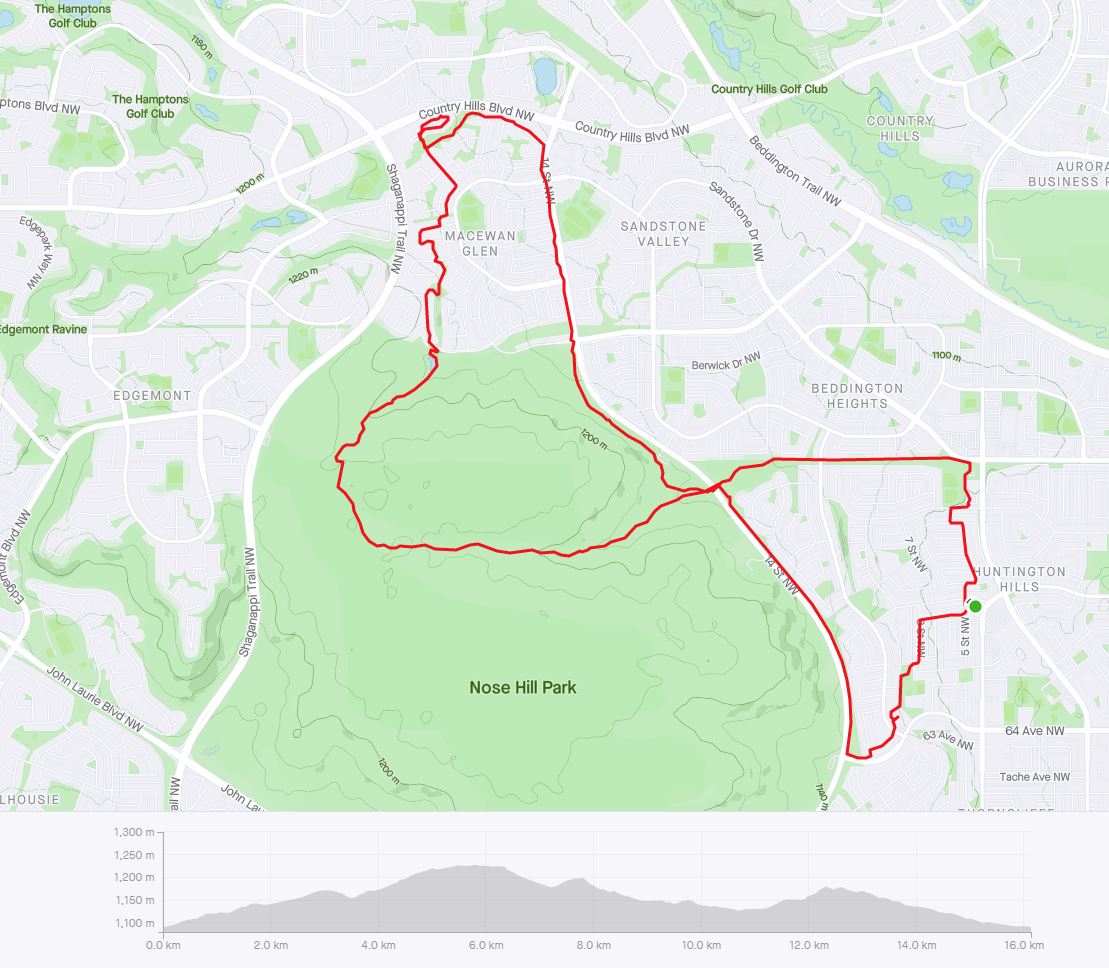 Strava_April16_2.JPG