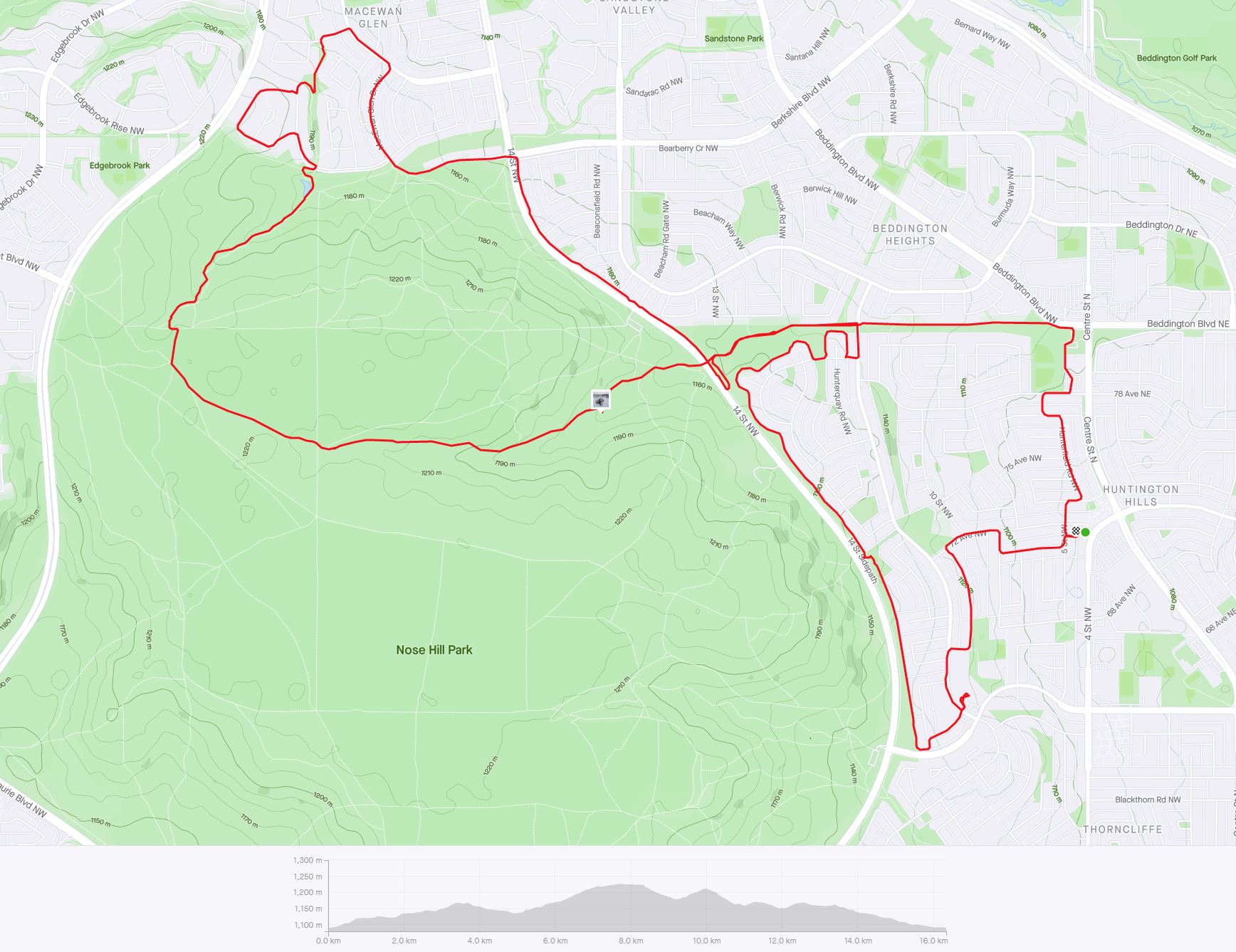 Strava_Feb 16_1.JPG