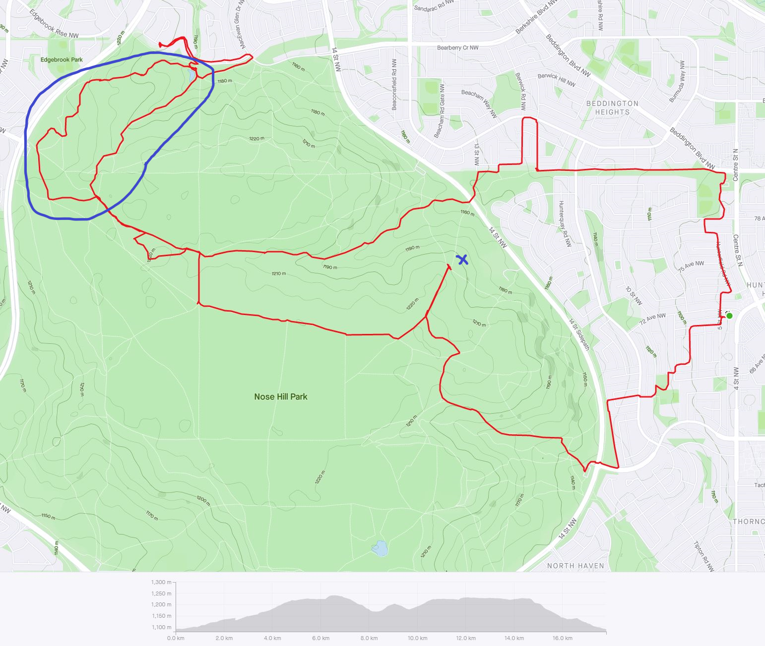 Strava_March11_1.png