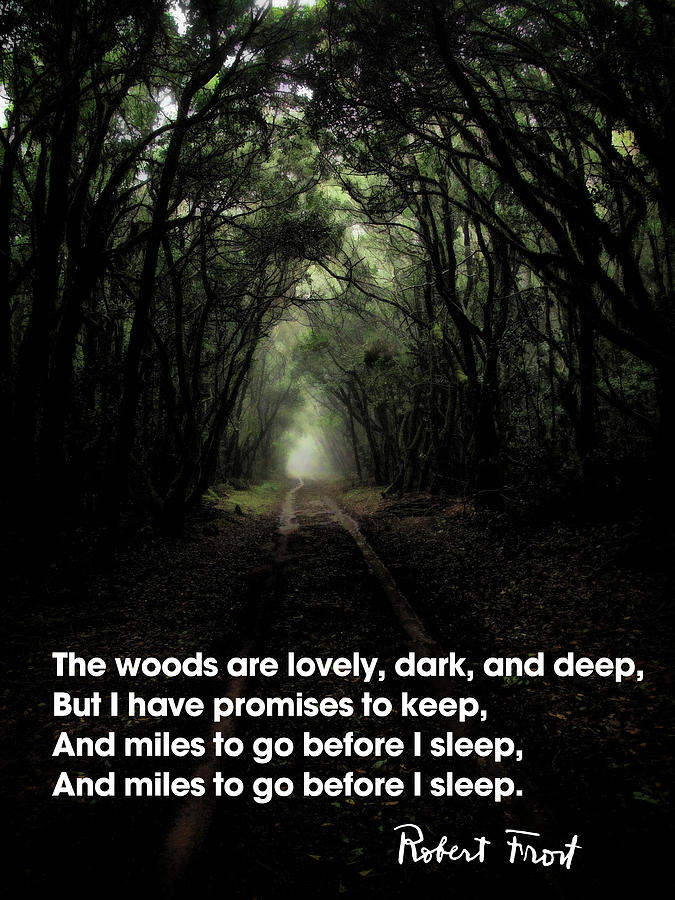 the-woods-are-lovely-dark-and-deep----robert-frost-daniel-hagerman.jpg