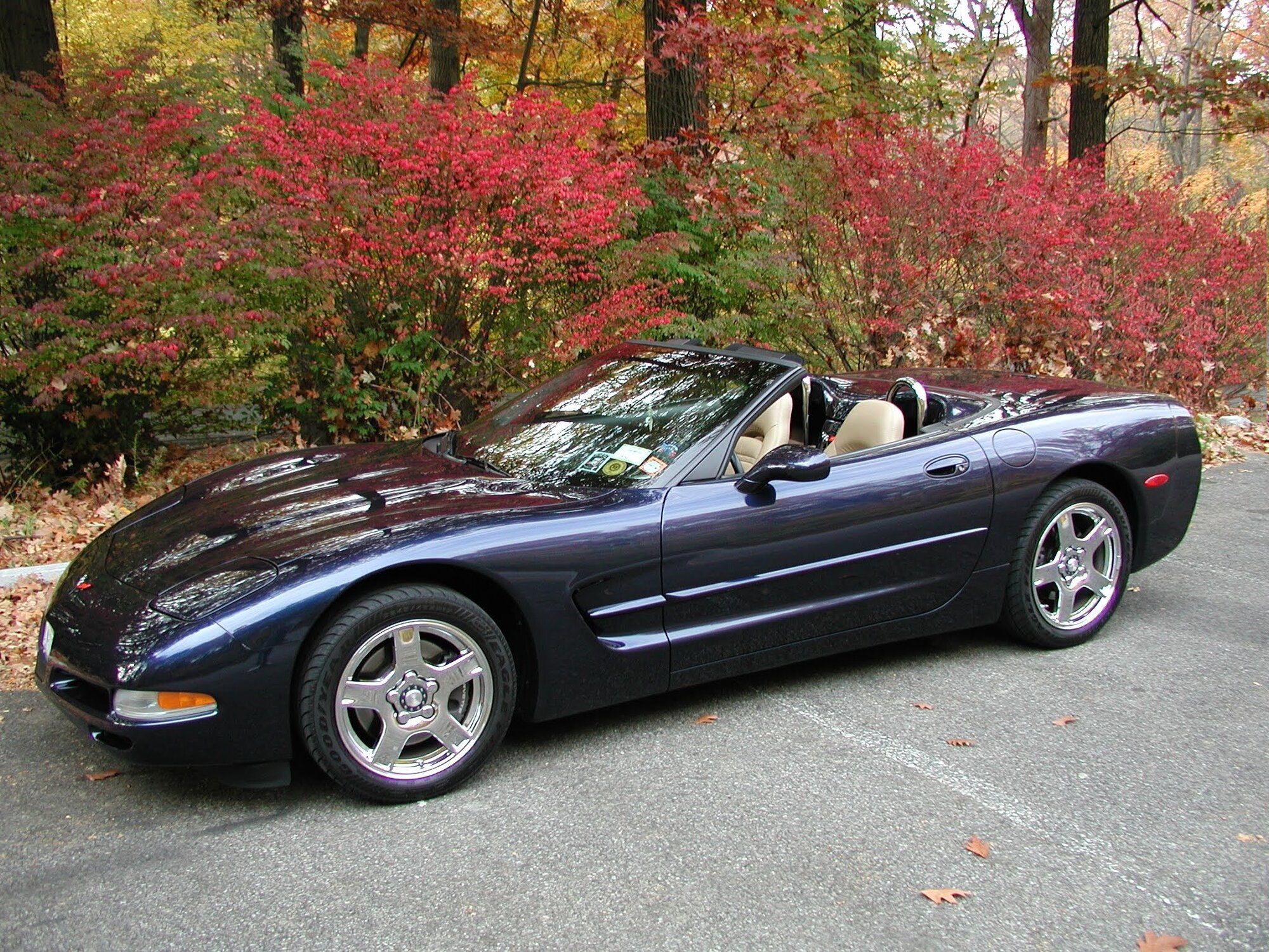 Vette Print 3j.JPG