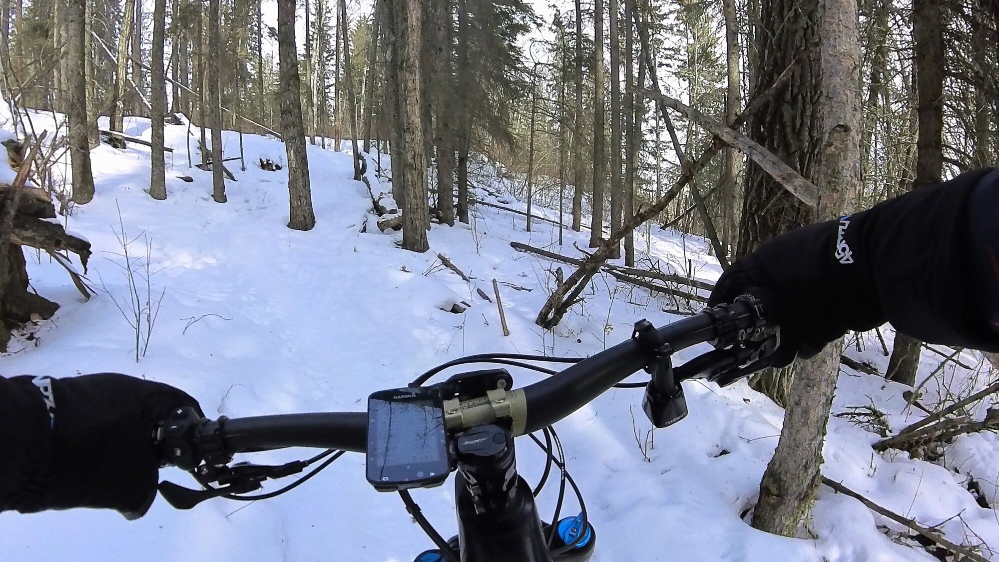 VID_20230303_110011_00_015 - frame at 2m4s.jpg