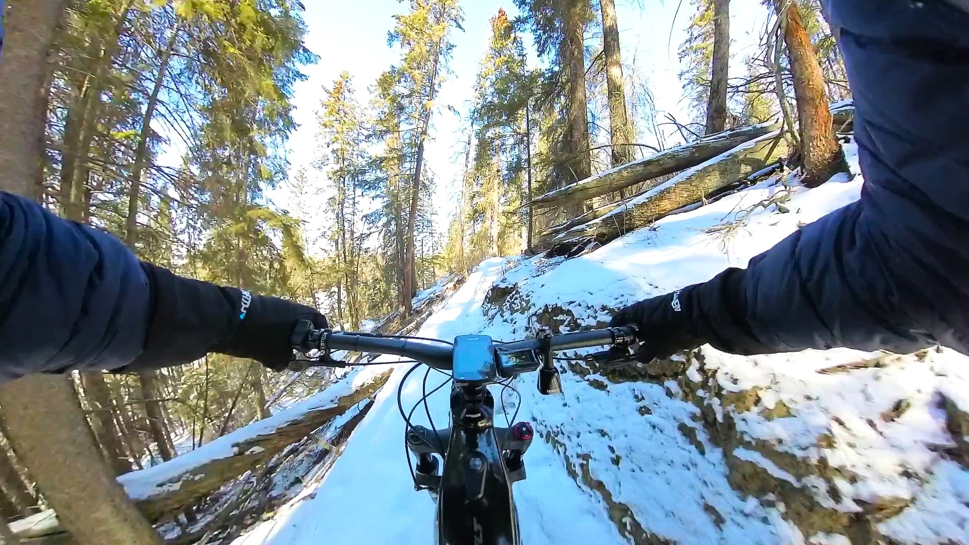 VID_20230328_112039_00_064 - frame at 1m1s.jpg