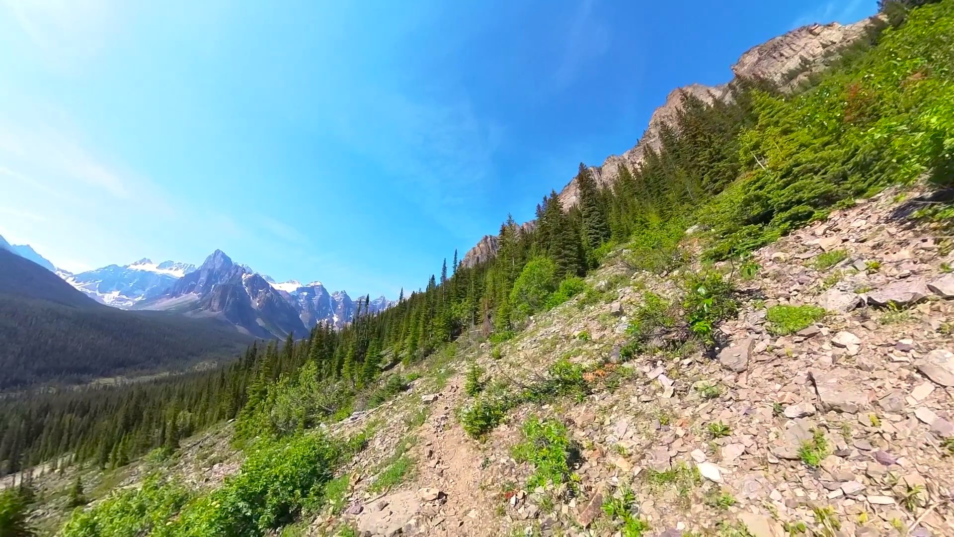 VID_20230608_092342_00_097 - frame at 0m16s.jpg