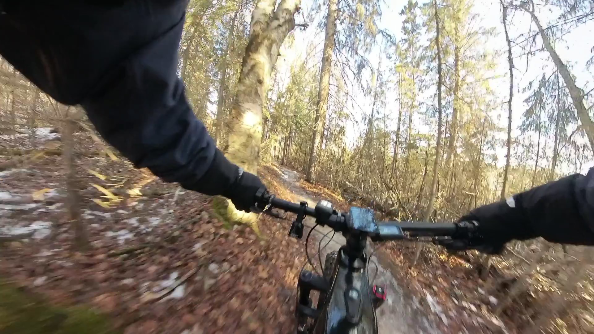 VID_20240131_110338_00_009 - frame at 0m12s.jpg