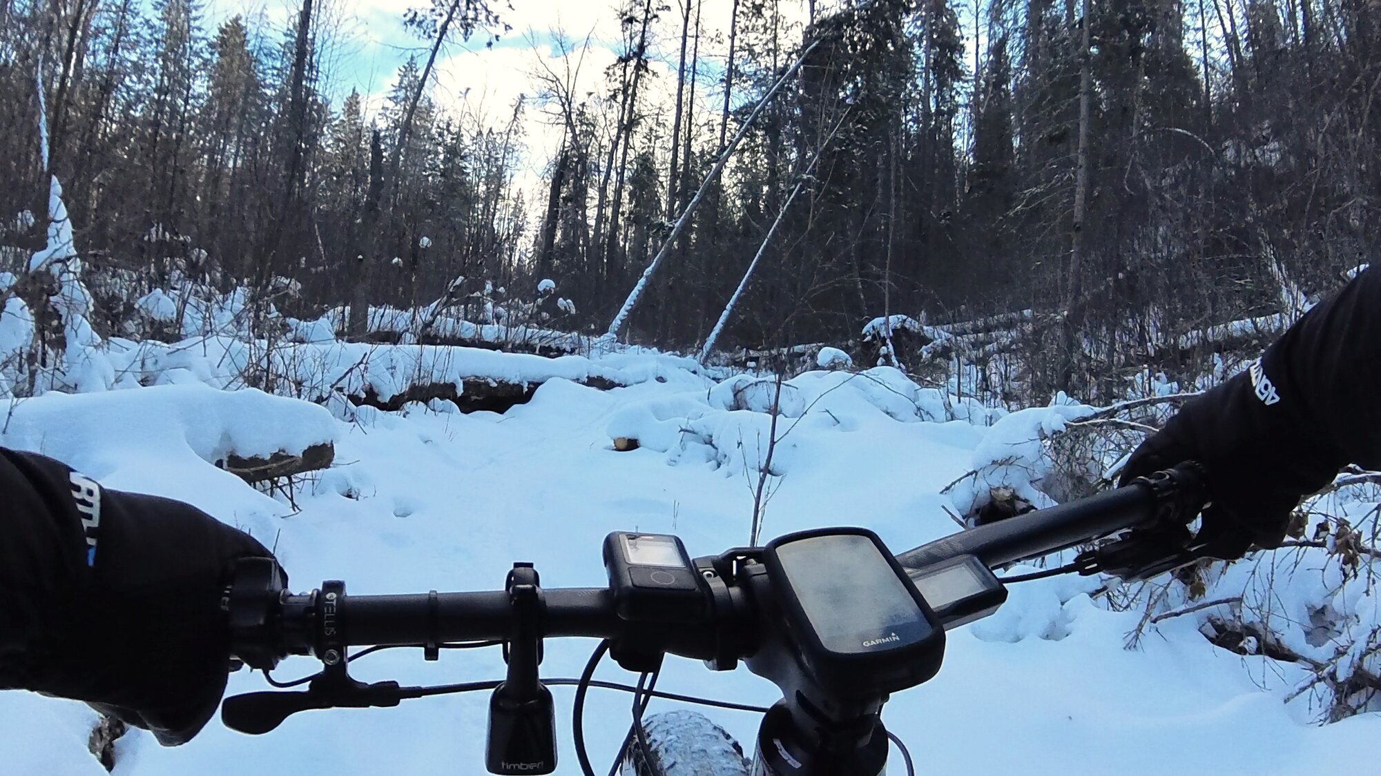 VID_20240205_142003_10_016 - frame at 2m58s.jpg