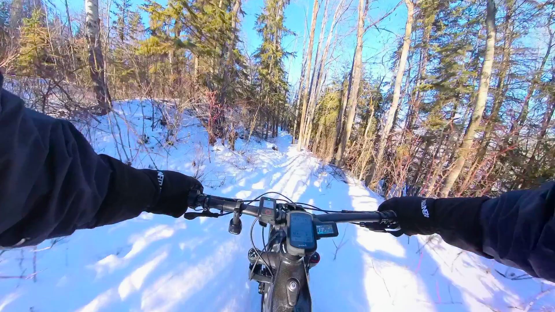 VID_20240216_144305_00_019 - frame at 4m5s.jpg