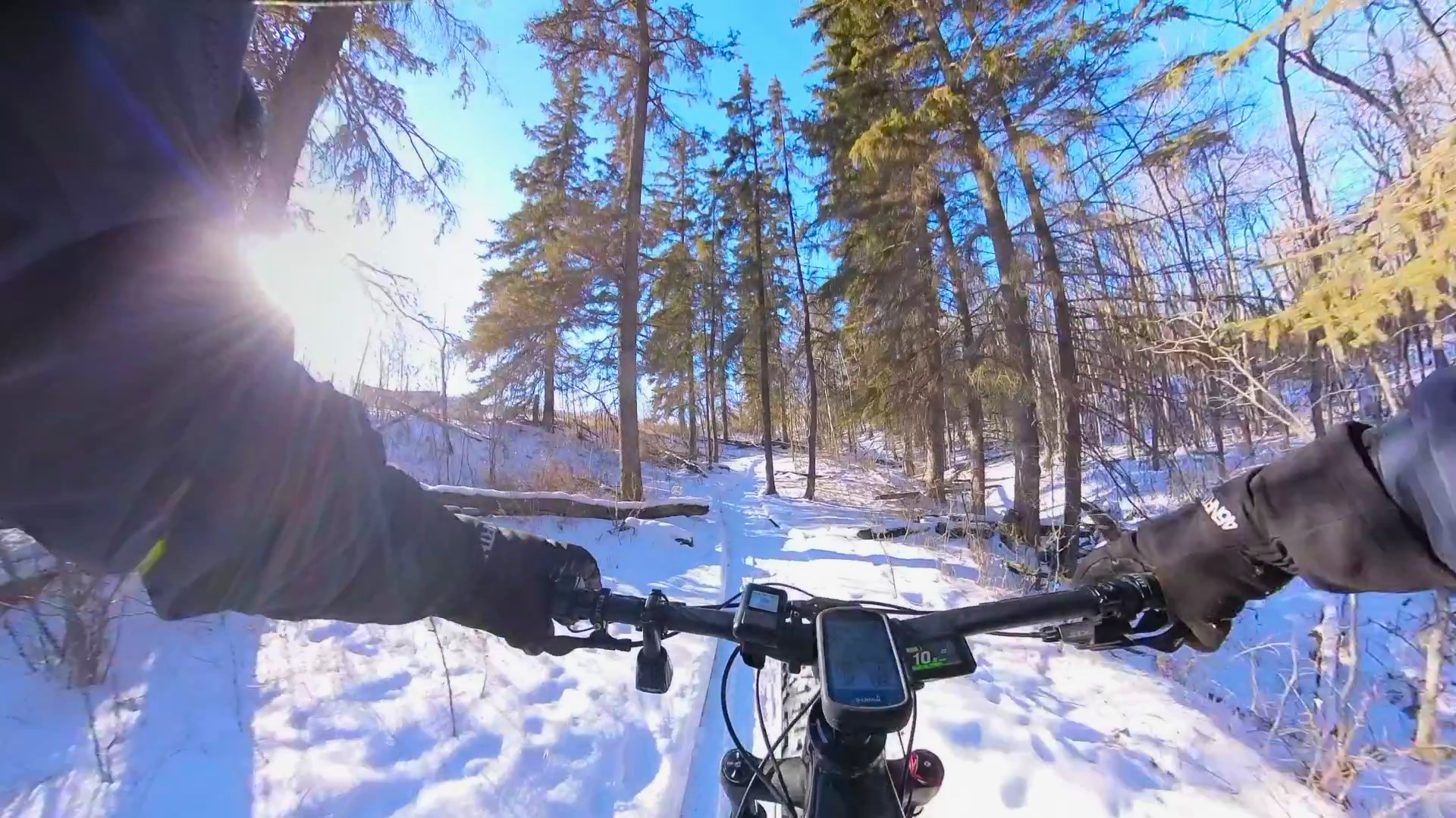 VID_20240216_151048_00_023 - frame at 0m11s.jpg