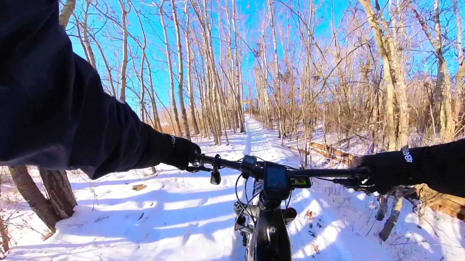 VID_20240216_151048_00_023 - frame at 0m29s.jpg