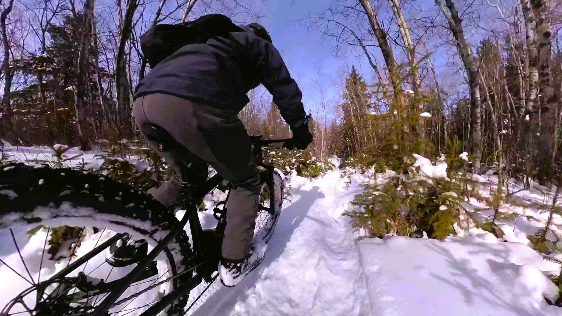 VID_20240308_125151_00_030 - frame at 0m3s.jpg