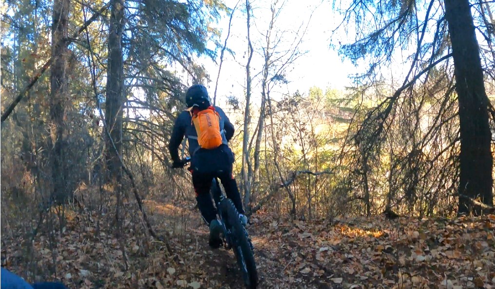 Web capture_7-8-2023_13841_vimeo.com.jpeg